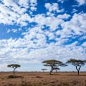 TZA MAR SerengetiNP 2016DEC25 SeroneraEast 003 : 2016, 2016 - African Adventures, Africa, Date, December, Eastern, Mara, Month, Places, Serengeti National Park, Seronera, Tanzania, Trips, Year